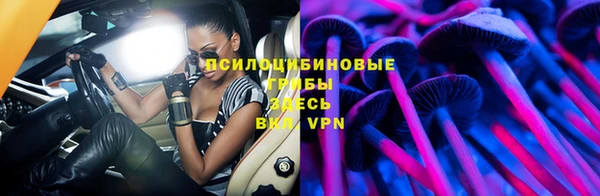 spice Беломорск