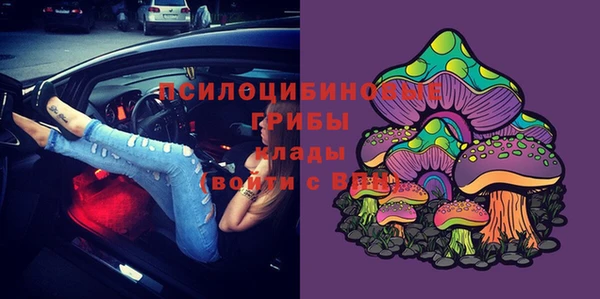 spice Беломорск