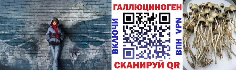 Псилоцибиновые грибы мицелий  ссылка на мегу как зайти  Верхний Тагил 
